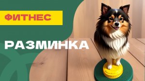 Разминка для собаки перед активностями, разминка и заминка, как размять собаку