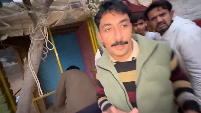 Finally Apna Reech La Lia ? Surprise ? смотреть онлайн