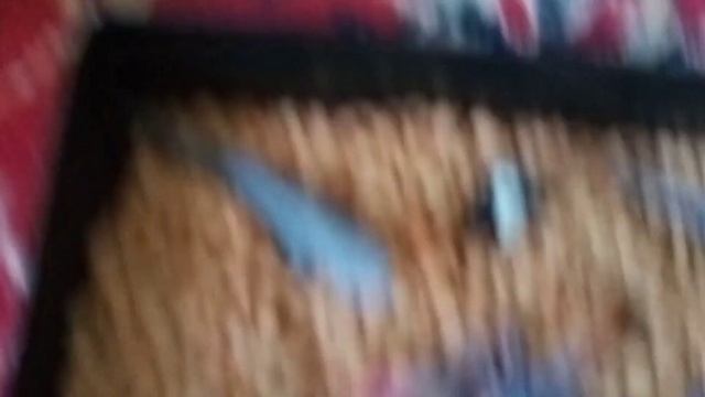 Ловим морских обитателей в консервный завод рыбы. Мультик про морских обитателей! смотреть онлайн