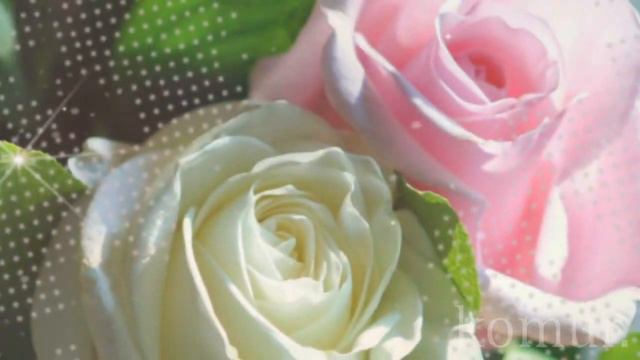 ЖЕЛАЮ ДОБРОГО и БОДРОГО УТРА! Пожелания для друзей komur смотреть онлайн