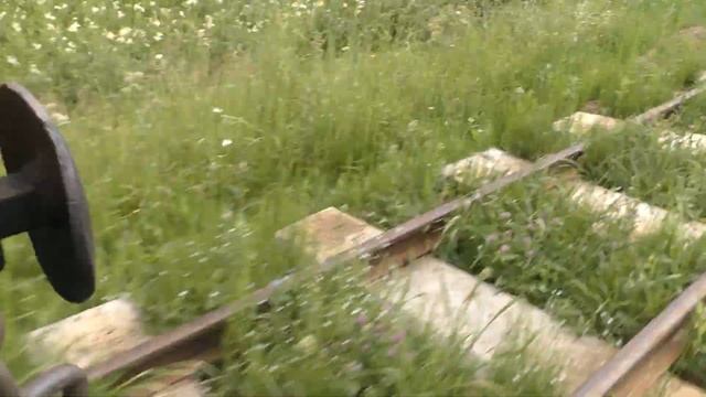 Поездка на ТУ6А-0755. УЖД Пижемского ЛПХ смотреть онлайн