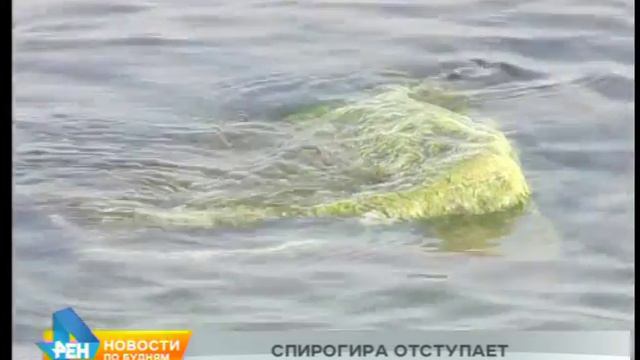 Опасной для Байкала спирогиры стало в озере меньше