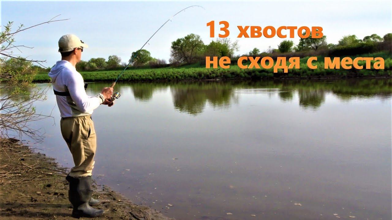 13 хвостов, не сходя с места. Рыбалка на спиннинг. смотреть онлайн