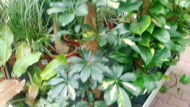 Из Германии - в Россию. Жизнь в России. Знаток? Обзор влогов. 06 01 2024 Влад (eng/germ subt.) смотреть онлайн