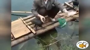 Как в Азии ловят рыбу с помощью птиц