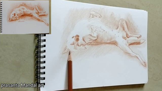 Anatomy sketch Basic#dog смотреть онлайн