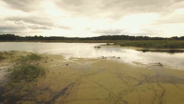 Заказник Омутинский смотреть онлайн
