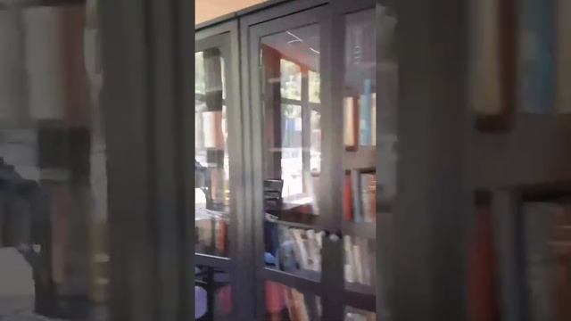 Обзор отеля Континент Гагра. Абхазия. смотреть онлайн