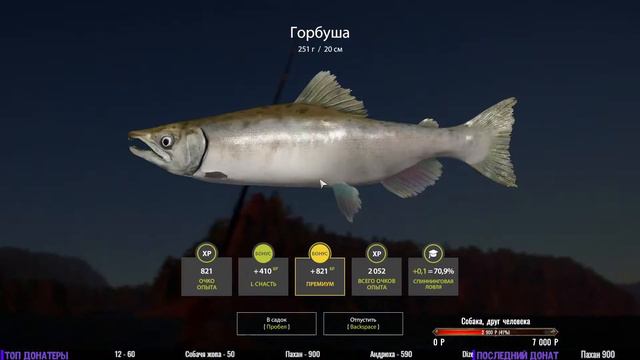 🐟Русская Рыбалка 4🐟КАЧАЕМ СПИННИНГ. ТАСКАЕМ РЫБУ. [RR4]