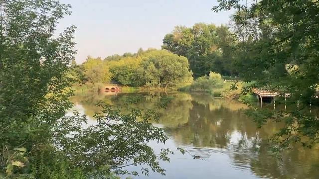 Бабушкинская пешком до Джамгаровского пруда и обратно. Часть 2/ Moscow Dzhamgarovsky pond. смотреть онлайн