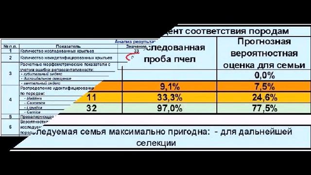 бакфаст для Подмосковья - тестирование по зимовке на воле смотреть онлайн