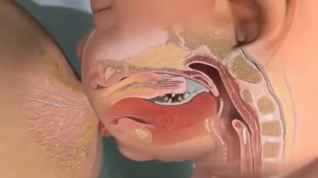 Сырники с тыквой