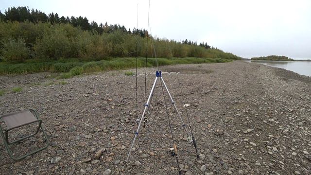 Щука и язь на спиннинг с берега в начале третьей декады сентября смотреть онлайн