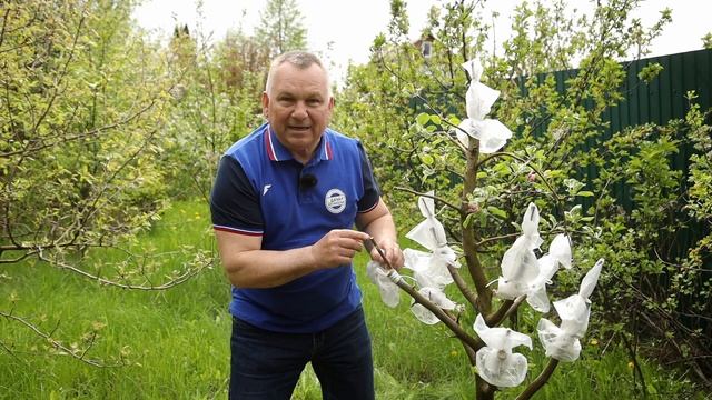 Строительные Чудесники