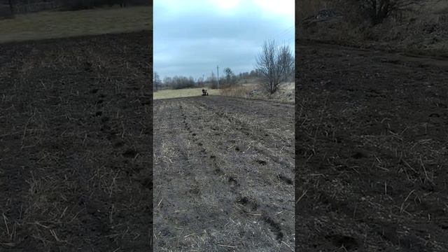 Посев люцерны! Прикатываем котком к мотоблоку! смотреть онлайн