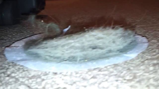 Kirby sentria 2 carpet test. (dirt meter) смотреть онлайн