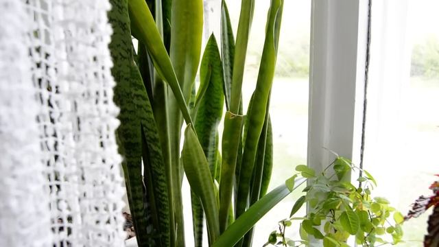 Тест Никон 3200 смотреть онлайн