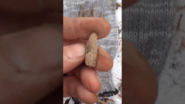 Зимний лес!4 часа куча находок!!!В Конце?? смотреть онлайн