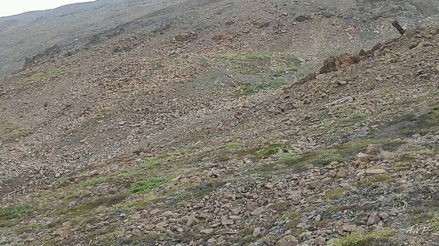 Талнах. Горы. смотреть онлайн