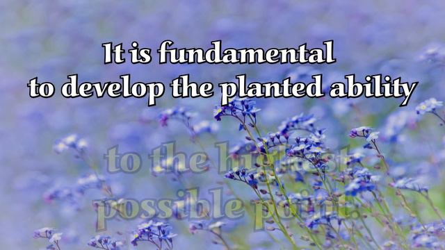 Violin Lessons For Beginners: Snow And Wind