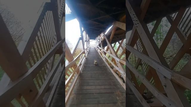 Национальный парк Куршская коса в Калининградской области смотреть онлайн