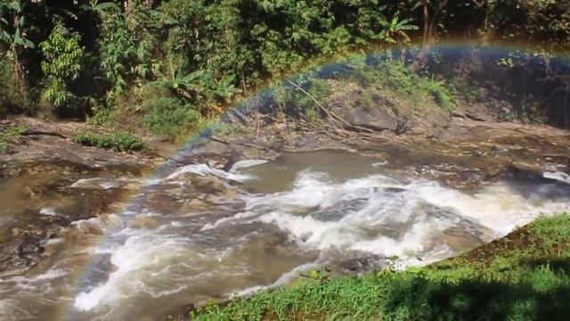 Полонез Огинского "Прощание с Родиной". Лучшая классическая музыка. Видео HD смотреть онлайн