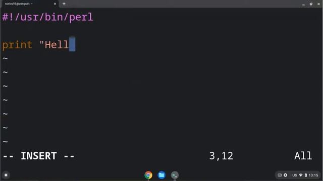 Install Linux on Chromebook and Run python, perl, Java and C смотреть онлайн