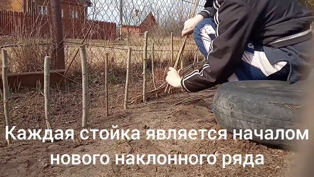 Плетёные клумбы из ивы. Процесс изготовления. смотреть онлайн