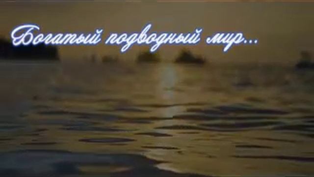Планета Земля смотреть онлайн