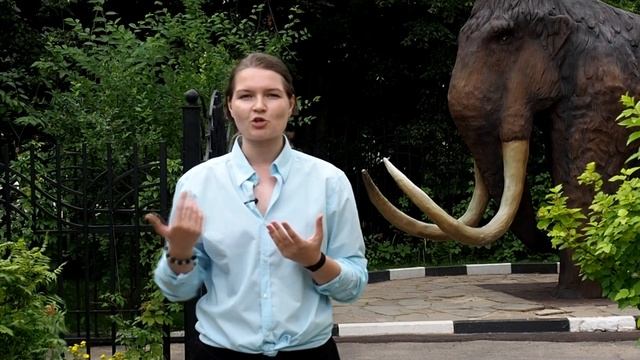 Почему мы обезьяны? Почему не котики? Происхождение человека. Елена Сударикова смотреть онлайн