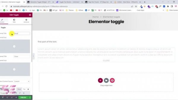 Elementor toggle - Hide Or Show Section or text On Button Click ? (FREE)