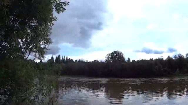 Зарисовки о рыбалке: Рыбалка 15.07.15. (елец, сорога)ПЕРЕЗАЛИВ. смотреть онлайн