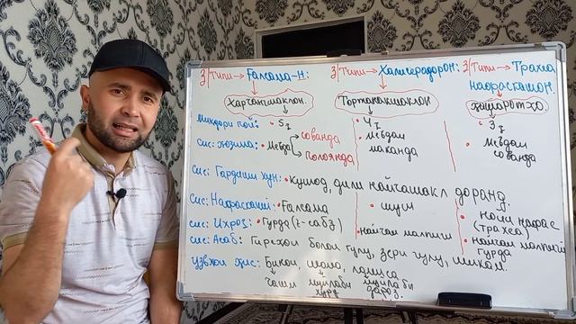 Типи Бандпойҳо(Буғумпойҳо). Тавсифи умумии бандпойҳо. смотреть онлайн