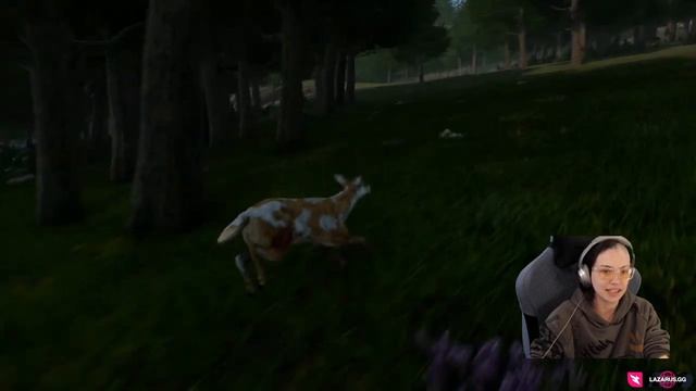 Deer Journey Full Gameplay - Outcasted And Alone Your Journey Begins смотреть онлайн