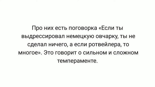 РОТВЕЙЛЕР о породе смотреть онлайн