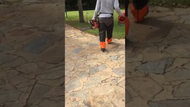 Sandton tree felling смотреть онлайн