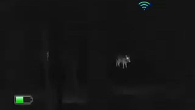 Night Pearl IR510Xnw смотреть онлайн