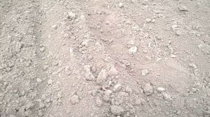 Настройка картофелесажалки.