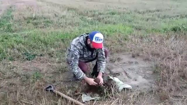 Отбор проб почв методом "конверта" смотреть онлайн