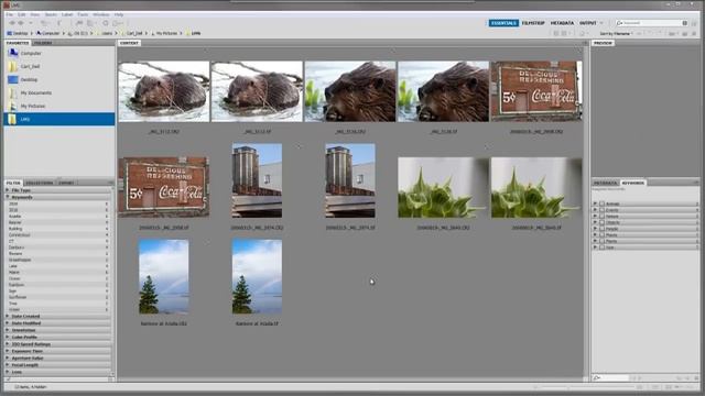 Using Keywords In Adobe Bridge