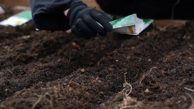 Усадьба: «Нетипичная дача» смотреть онлайн