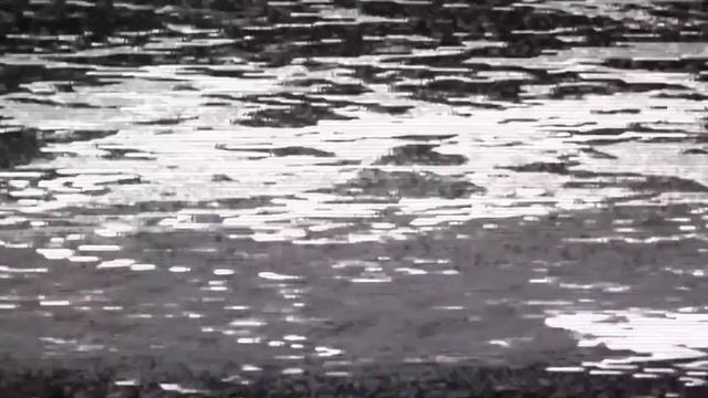 Чага. Полезные свойства