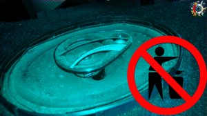 Хрипят динамики? Быстрый ремонт и улучшение звука динамиков