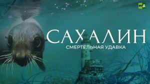Сахалин. Смертельная удавка