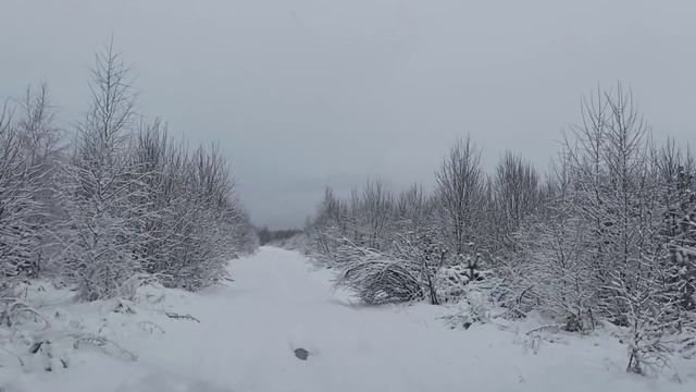 Из города в деревню! Другая альтернатива....