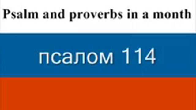 дай 23 Псалмы и Притчи Соломона. смотреть онлайн