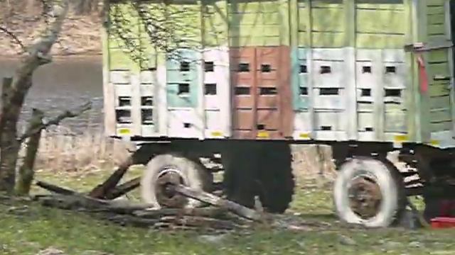 Бараны и козлы смотреть онлайн