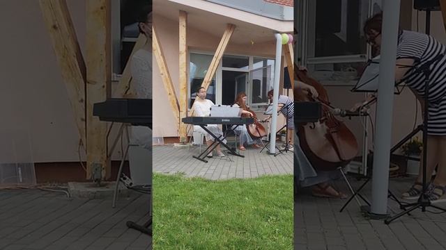 Le Cygne | C.Saint-Saens | Violoncelle Et Piano