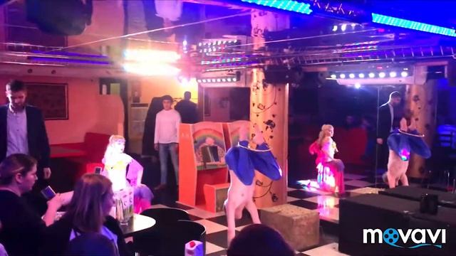 Восточный танец со змеёй и человек -змея смотреть онлайн