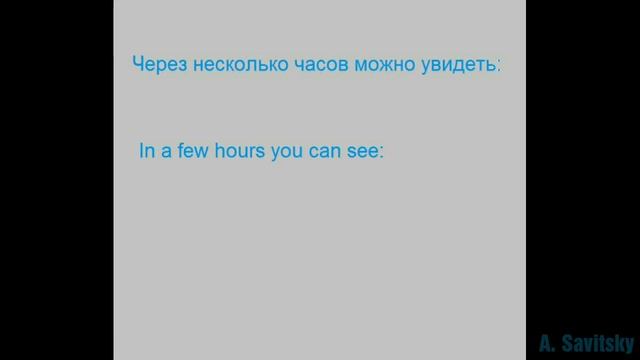 Польза мха для микроскописта / The use of moss for a microscopist смотреть онлайн